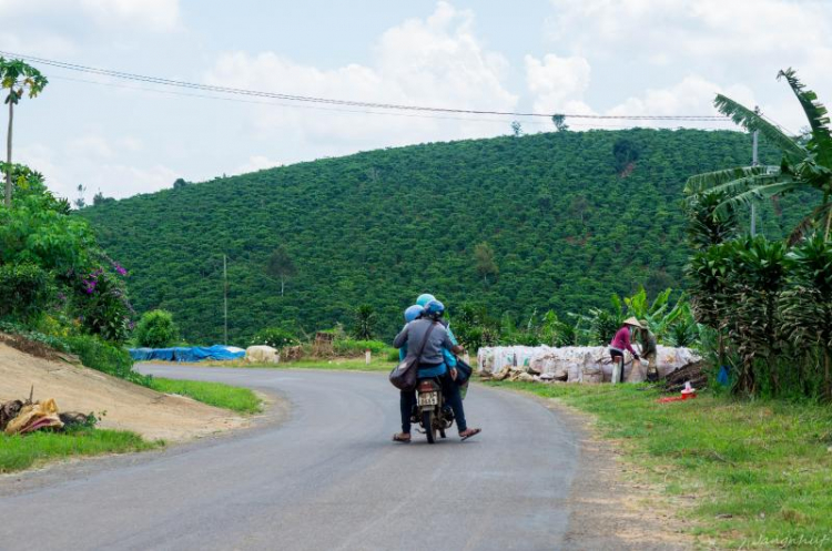 Cung đường đèo Gia Bắc (Di Linh - Phan Thiết)