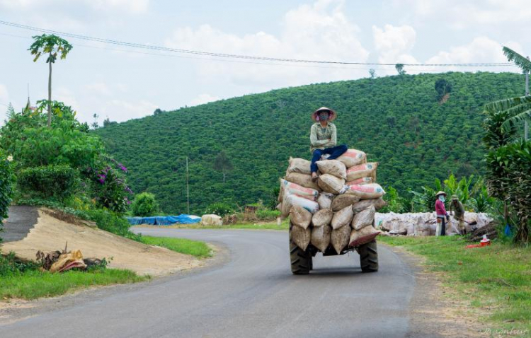 Cung đường đèo Gia Bắc (Di Linh - Phan Thiết)