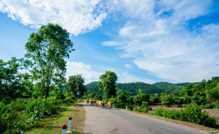 Cung đường đèo Gia Bắc (Di Linh - Phan Thiết)