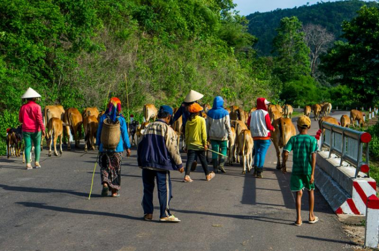 Cung đường đèo Gia Bắc (Di Linh - Phan Thiết)