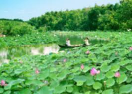 ACCORD CLUB - ĐẠI HỘI LẦN IV - 28/6 - 1/7 - 2014 - CẦN THƠ - SA ĐÉC - UP HÌNH TỪ TRANG 64 ACCORD CLUB - ĐẠI HỘI LẦN IV - 28/6 - 1/7 - 2014 - CẦN THƠ - SA ĐÉC - UP HÌNH TỪ TRANG 64