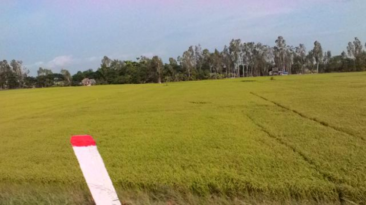 Phượt bụi Thất Sơn Phượt bụi Thất Sơn