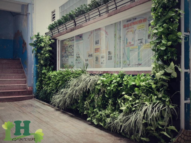 Vườn xanh trên tường (Green Wall) _ Xu thế mới cho mảng xanh đô thị.