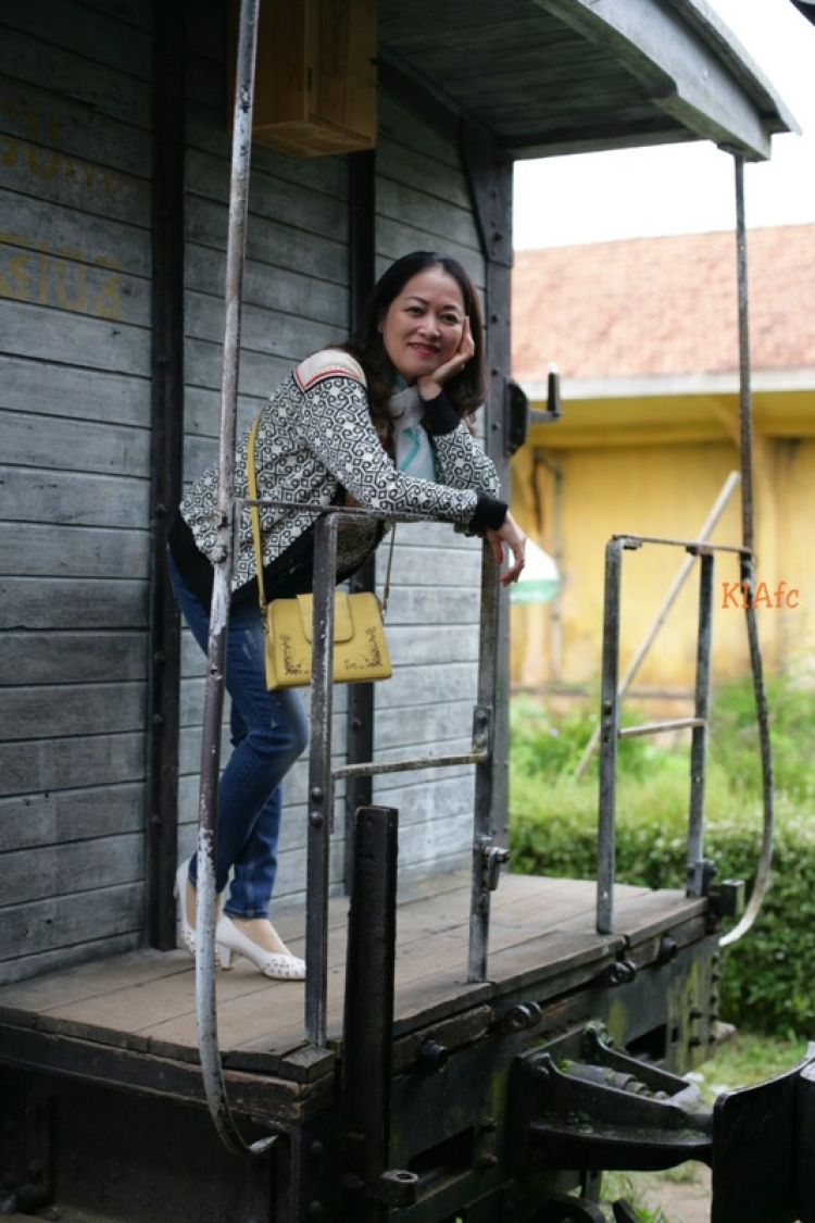 Đà Lạt Mộng mơ 24/7/2014 ( Hình ảnh trang 4 ) Đà Lạt Mộng mơ 24/7/2014 ( Hình ảnh trang 4 )