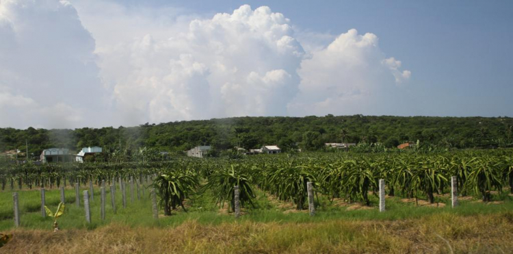 Hành trình SG-Lagi-Phan Rang-Nha Trang (4 ngày, 3 đêm) với Grandis 2005