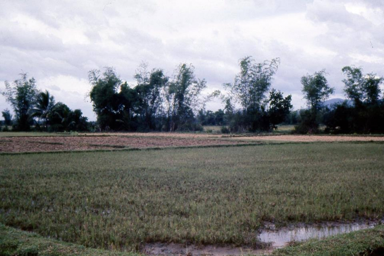 Hình ảnh Quốc lộ 1
