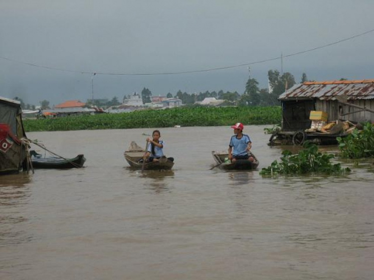 Cá Linh Mùa Nước Nổi