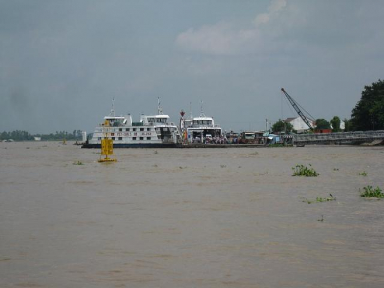 Cá Linh Mùa Nước Nổi