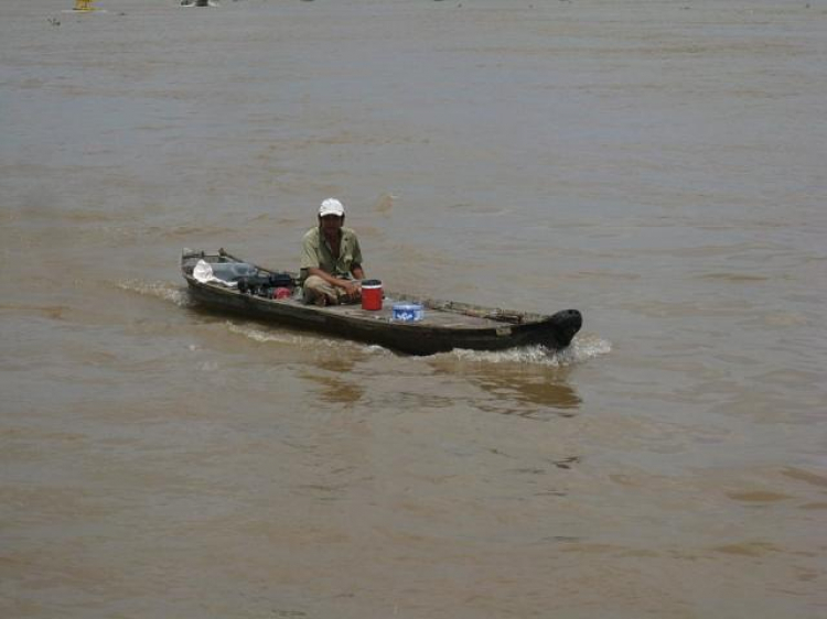 Cá Linh Mùa Nước Nổi Cá Linh Mùa Nước Nổi