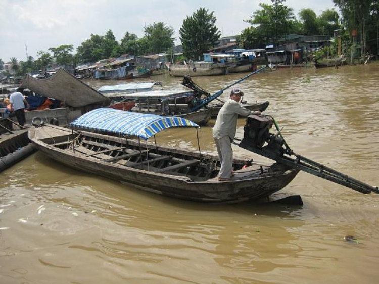 Cá Linh Mùa Nước Nổi