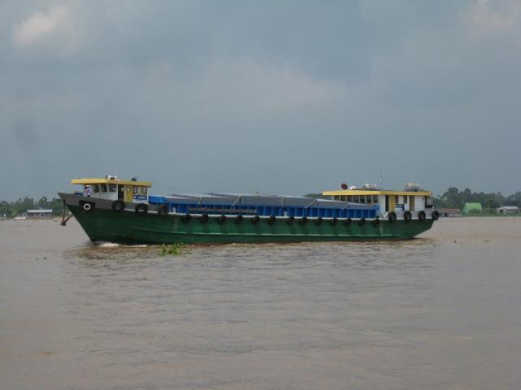 Cá Linh Mùa Nước Nổi Cá Linh Mùa Nước Nổi