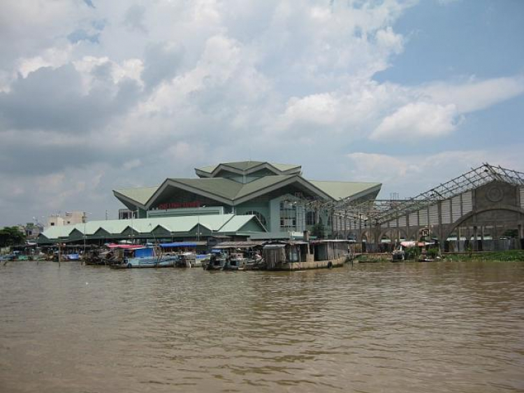 Cá Linh Mùa Nước Nổi Cá Linh Mùa Nước Nổi