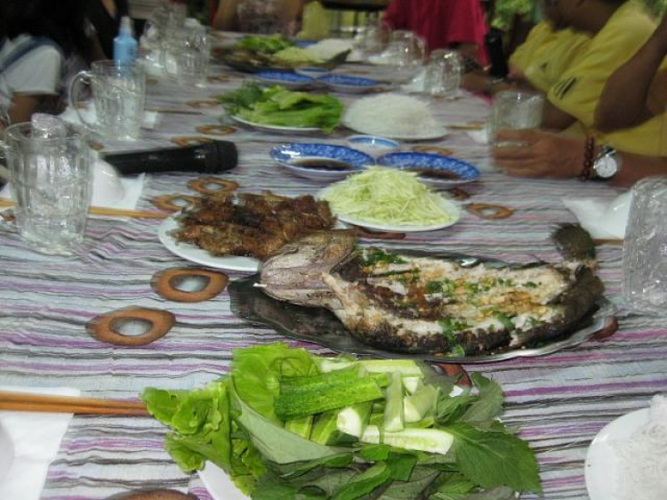 Cá Linh Mùa Nước Nổi Cá Linh Mùa Nước Nổi