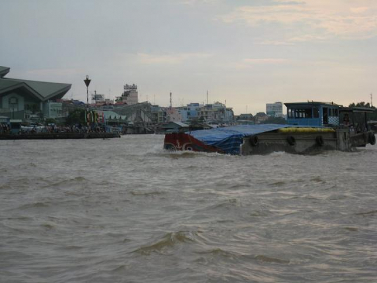 Cá Linh Mùa Nước Nổi