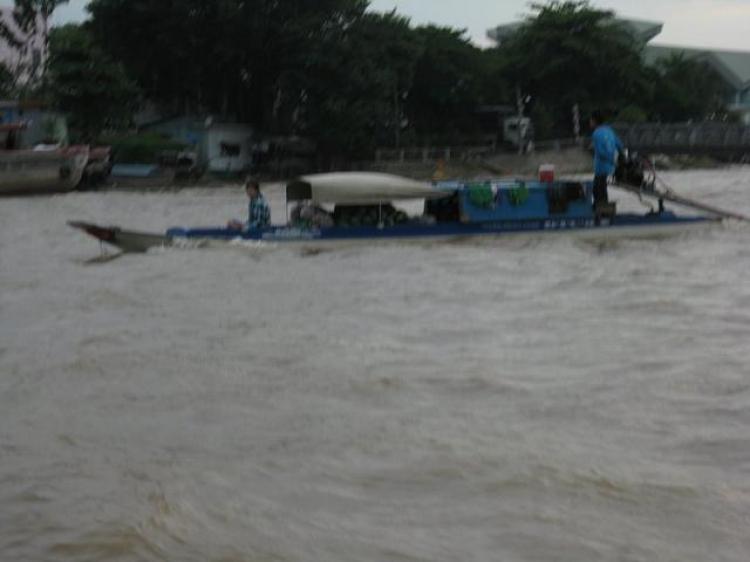 Cá Linh Mùa Nước Nổi