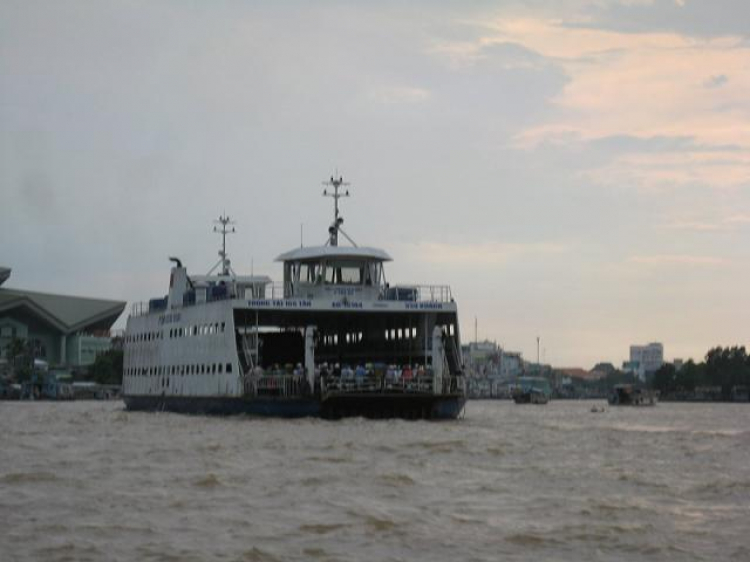 Cá Linh Mùa Nước Nổi Cá Linh Mùa Nước Nổi