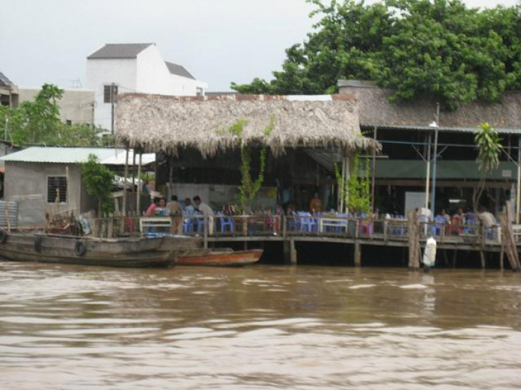 Cá Linh Mùa Nước Nổi