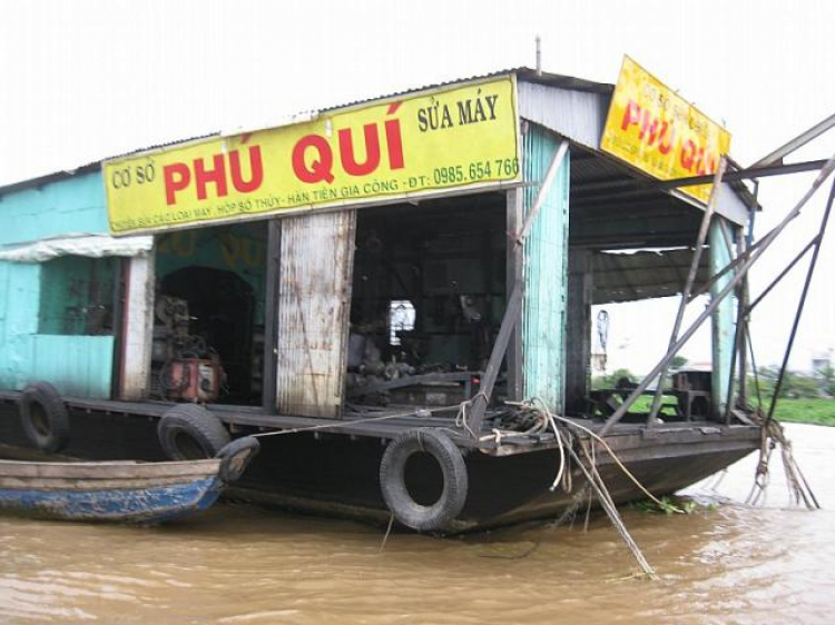 Cá Linh Mùa Nước Nổi