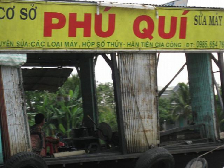 Cá Linh Mùa Nước Nổi Cá Linh Mùa Nước Nổi