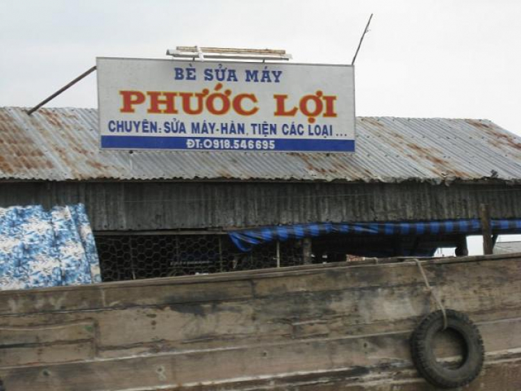 Cá Linh Mùa Nước Nổi Cá Linh Mùa Nước Nổi