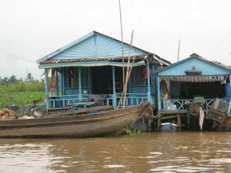 Cá Linh Mùa Nước Nổi