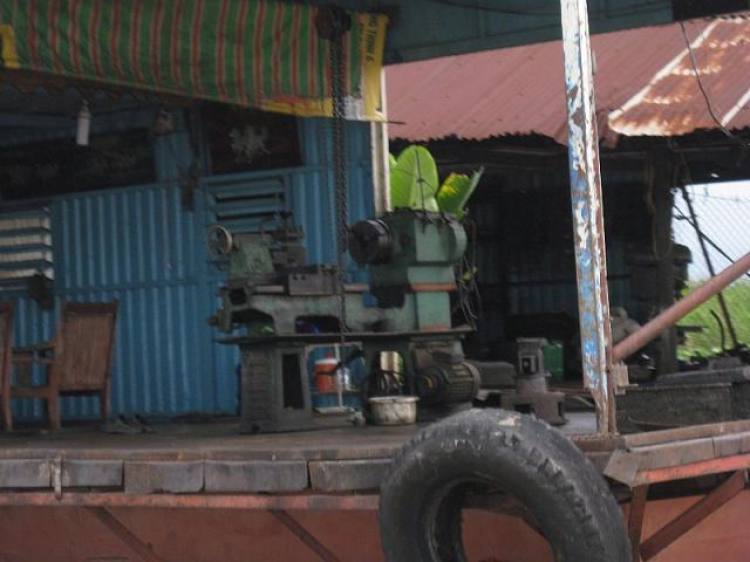 Cá Linh Mùa Nước Nổi Cá Linh Mùa Nước Nổi