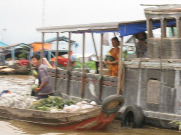 Cá Linh Mùa Nước Nổi