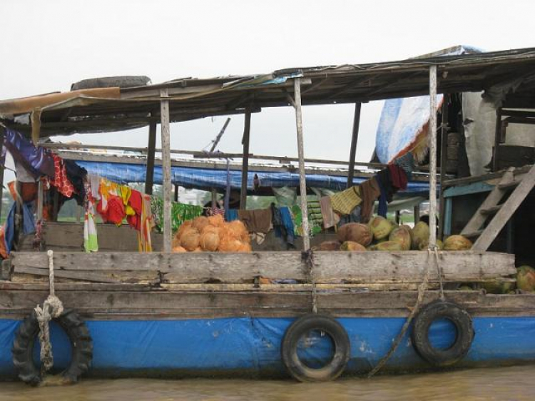 Cá Linh Mùa Nước Nổi