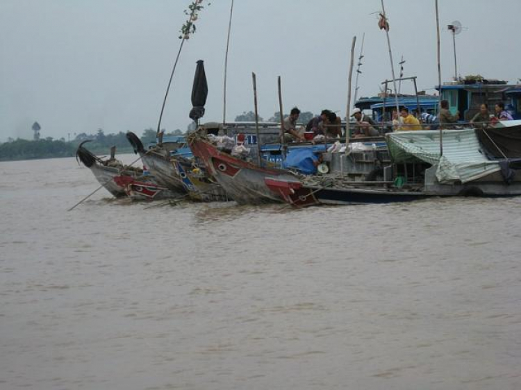 Cá Linh Mùa Nước Nổi