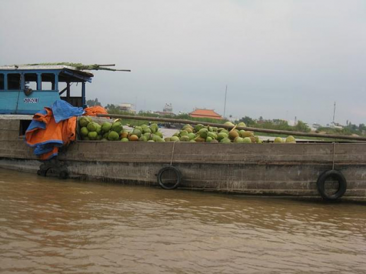 Cá Linh Mùa Nước Nổi