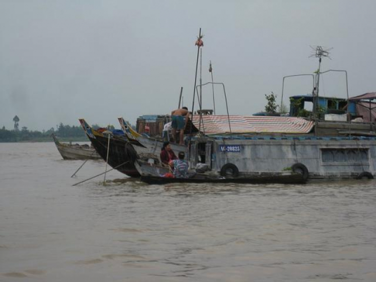 Cá Linh Mùa Nước Nổi