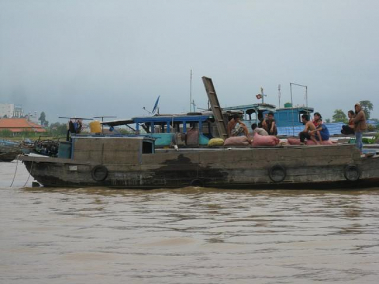 Cá Linh Mùa Nước Nổi