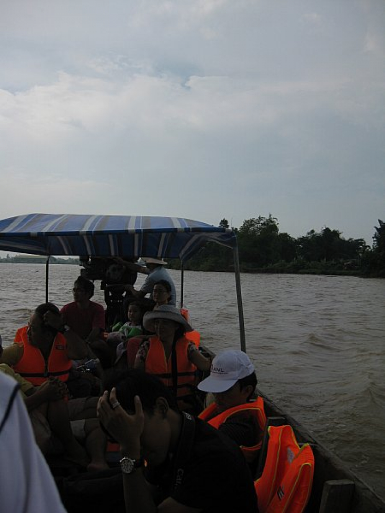 Cá Linh Mùa Nước Nổi Cá Linh Mùa Nước Nổi
