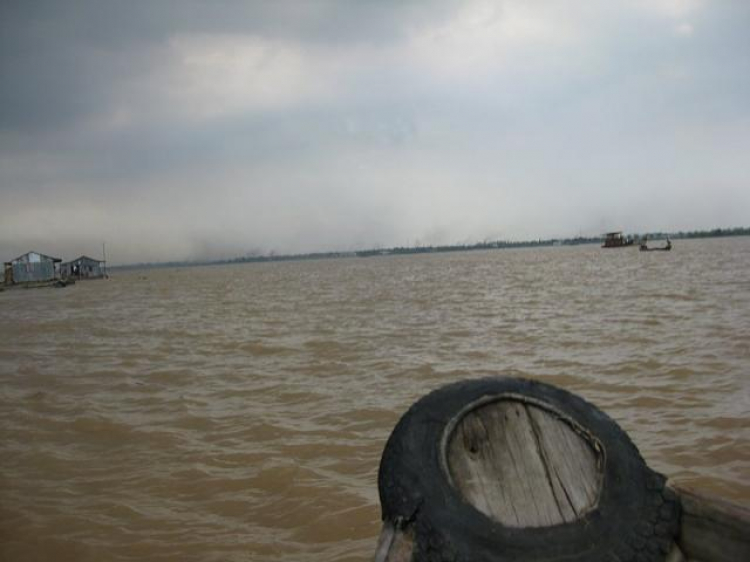 Cá Linh Mùa Nước Nổi Cá Linh Mùa Nước Nổi