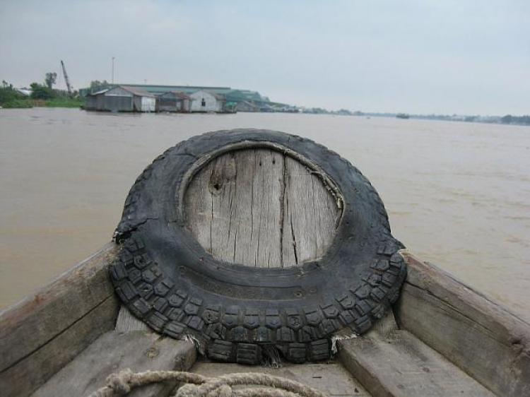 Cá Linh Mùa Nước Nổi Cá Linh Mùa Nước Nổi