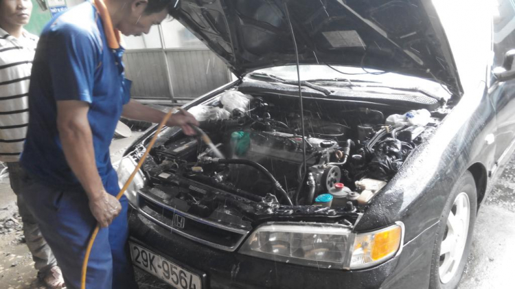 ACCORD CLUB Rước Hắc Cô Nương đổi màu da. ACCORD CLUB Rước Hắc Cô Nương đổi màu da.