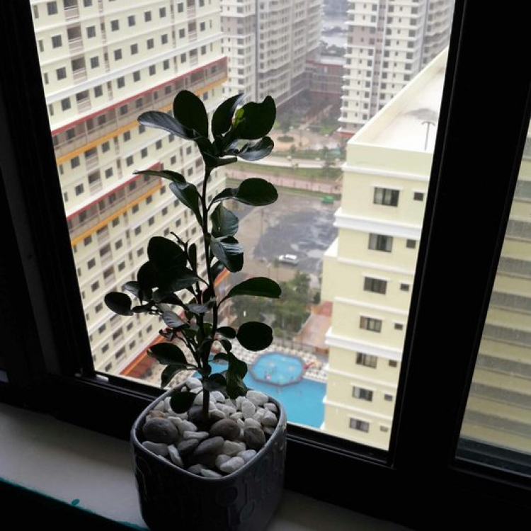 GẶP NHAU NHẸO GIỮA TUẦN