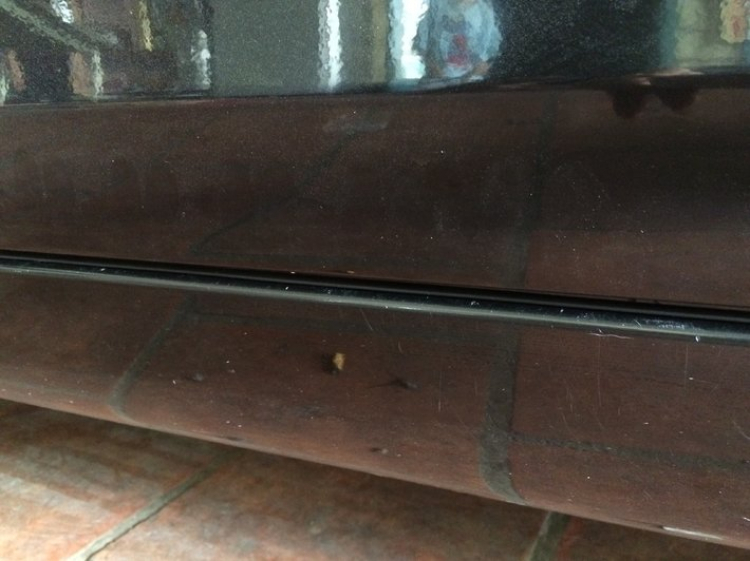Club Camry 20xx - Nơi giao lưu, học hỏi kinh nghiệm các bác chạy Camry sản xuất sau năm 2000 Club Camry 20xx - Nơi giao lưu, học hỏi kinh nghiệm các bác chạy Camry sản xuất sau năm 2000