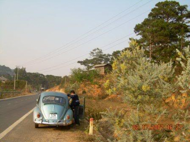 DALAT GIỜ CHỈ CÒN TRONG KÝ ỨC