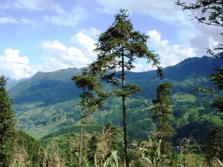 Nhớ em, SAPA!