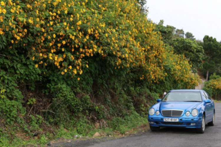DALAT GIỜ CHỈ CÒN TRONG KÝ ỨC DALAT GIỜ CHỈ CÒN TRONG KÝ ỨC