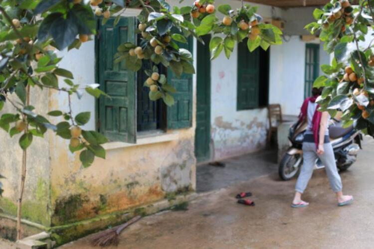 DALAT GIỜ CHỈ CÒN TRONG KÝ ỨC DALAT GIỜ CHỈ CÒN TRONG KÝ ỨC