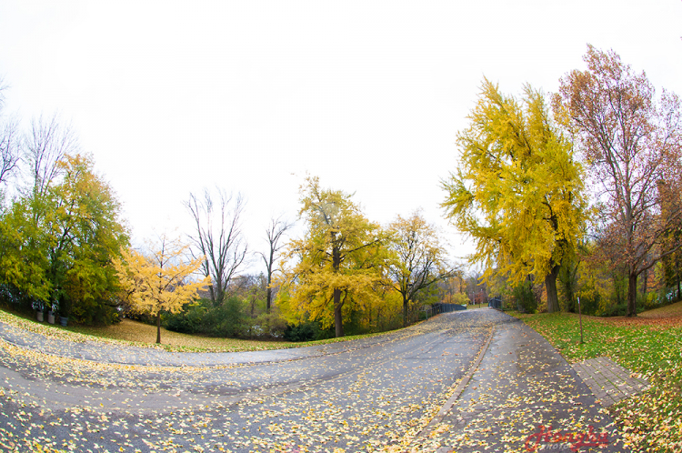 Autumn in Philadelphia, Washinton & Niagara Falls