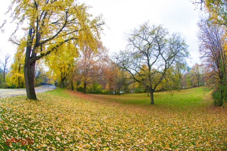 Autumn in Philadelphia, Washinton & Niagara Falls