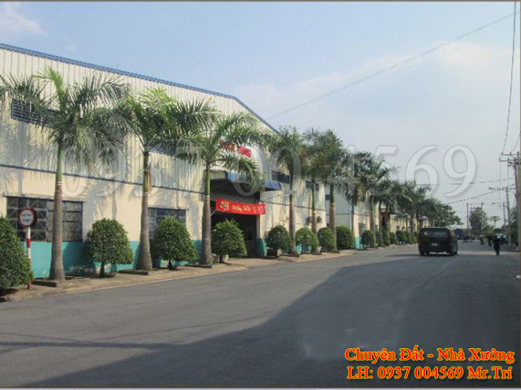 Công ty NN nhờ tìm mua lại nhà máy Công ty NN nhờ tìm mua lại nhà máy
