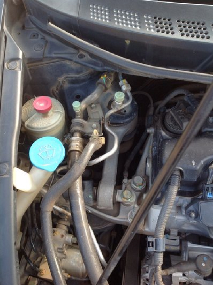 Các loại dầu của civic