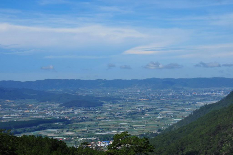 Tour cuối tuần Dalat ngắm hoa quỳ