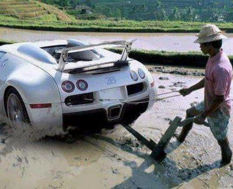 Dùng ôtô thay thế con trâu cày ruộng?