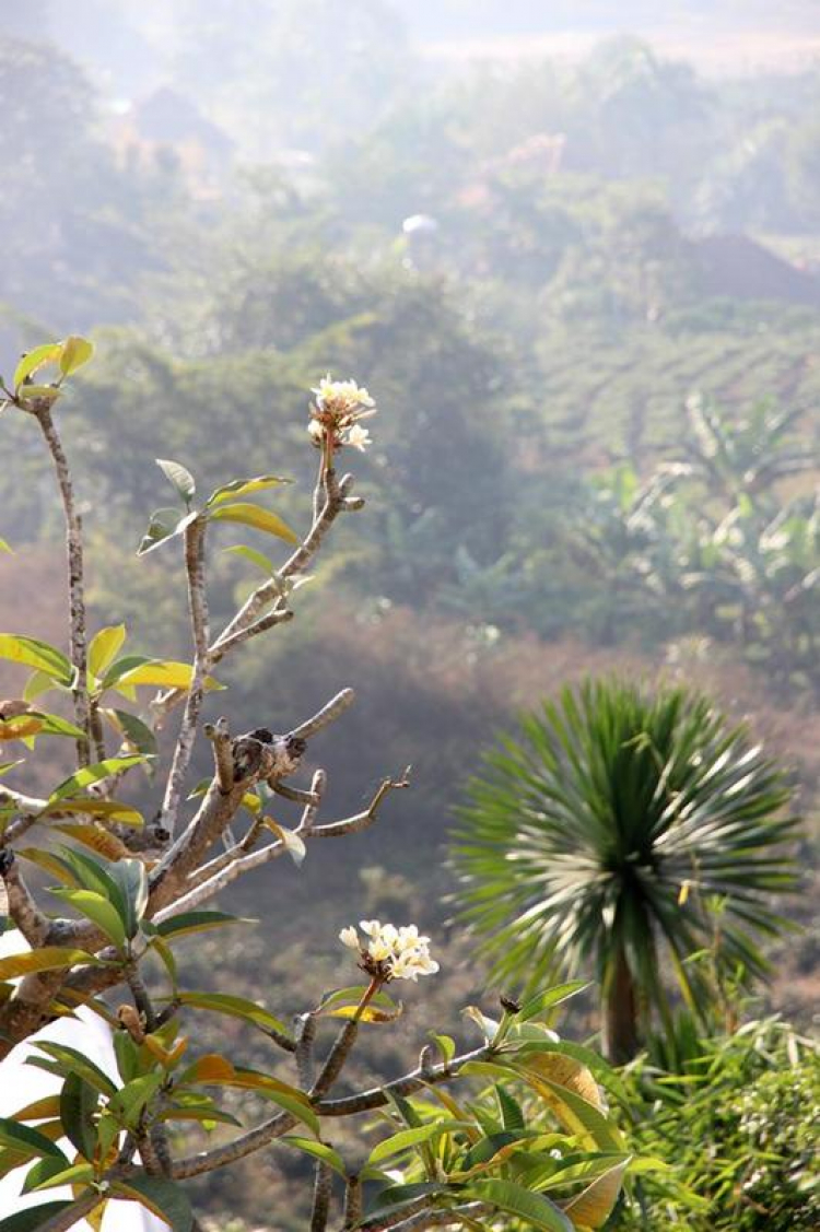 Vườn hoa của ... các bác! Em mời các bác vào đây ... trồng hoa ạ! Vườn hoa của ... các bác! Em mời các bác vào đây ... trồng hoa ạ!