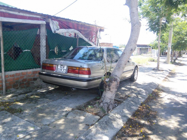 ACCORD CLUB : Bộ sưu tập ACCORDS 90-97 & Acura Legend 91- 95 !